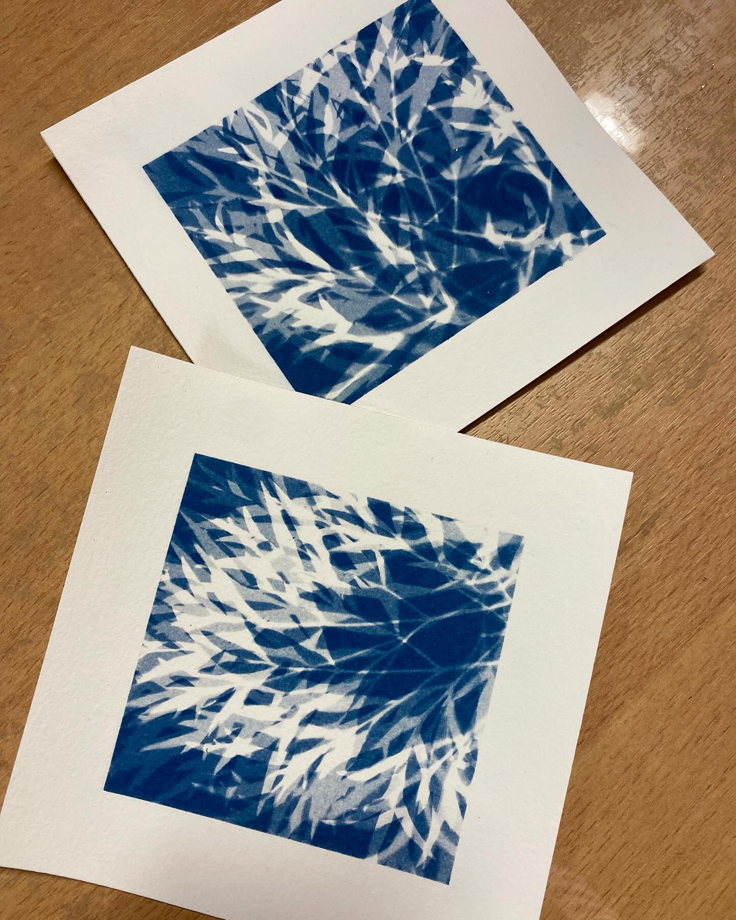 Cyanotype