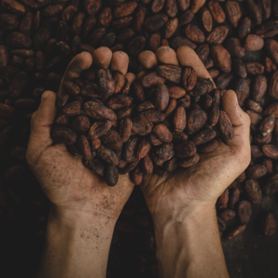 Cérémonie de Cacao Bruxelles